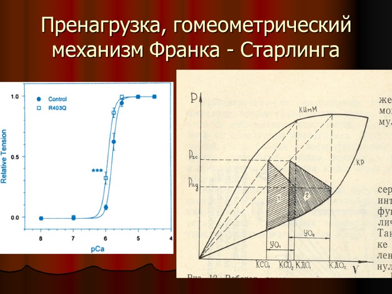 Пренагрузка, гомеометрический механизм Франка - Старлинга